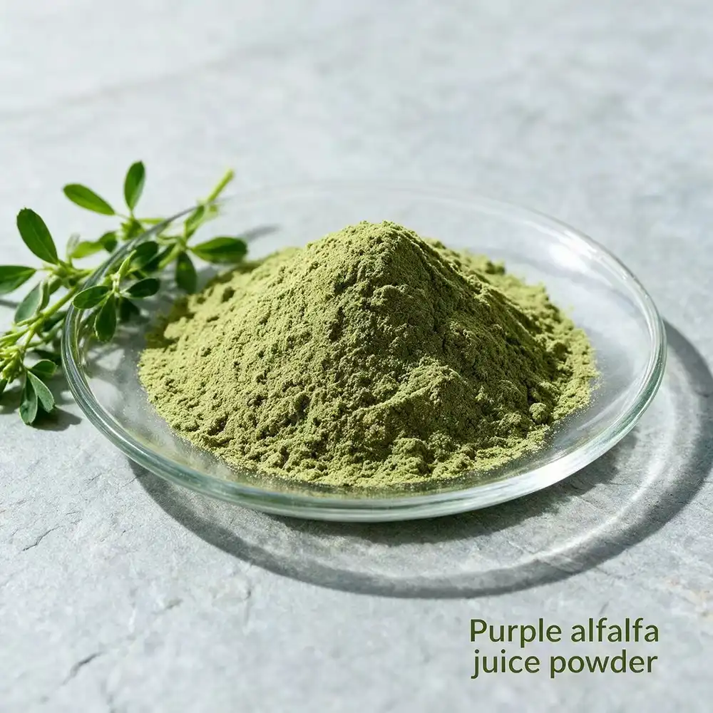 Why Import Purple Alfalfa Juice Powder for Supplement Production?